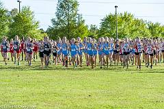 XC Girls  (60 of 384)